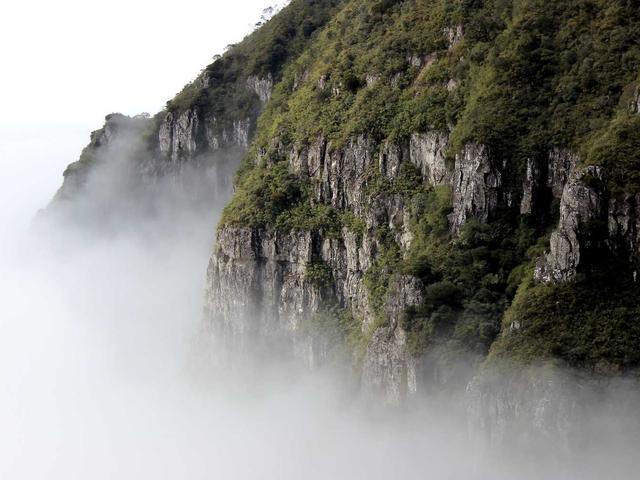 在线手机优质泛目录区别的方法的正确打开方式：避坑指南与进阶技巧