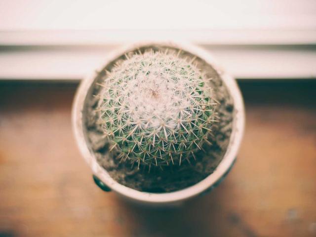 泛目录站群如何优化全面攻略：专业人士都在看的干货
