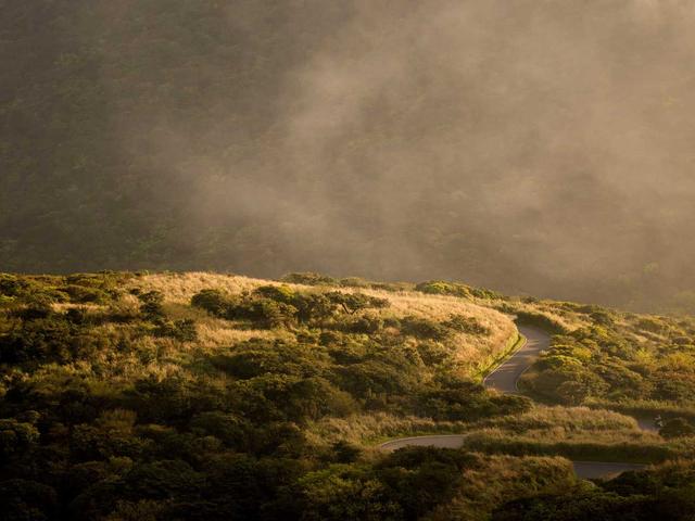 关于什么是seo论坛排行你需要知道的这些关键信息